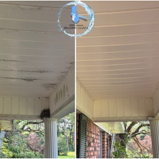 Top-Rated-House-Washing-Company-Transforms-Home-in-Loxley-AL-with-Complete-Exterior-Cleaning-Services 5